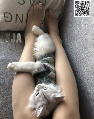 吉巴罗