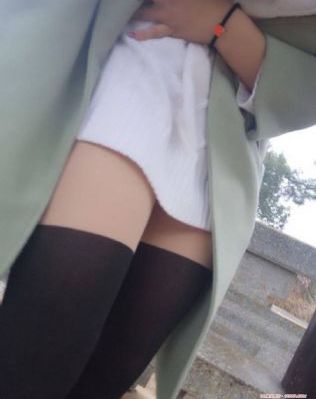 清平乐电视剧免费观看全集